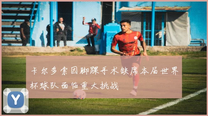 卡尔多索因脚踝手术缺席本届世界杯球队面临重大挑战