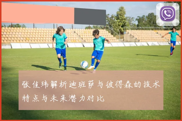 张佳玮解析迪班萨与彼得森的技术特点与未来潜力对比