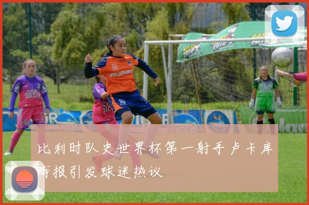 比利时队史世界杯第一射手卢卡库海报引发球迷热议